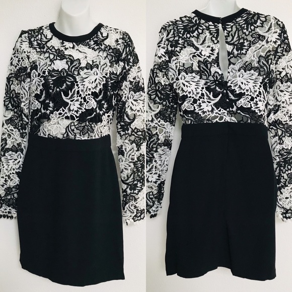DAILY DEAL! NWT $218 ROMEO & JULIET COUTURE Chic Black and White Lace DRESS M - Picture 4 of 7